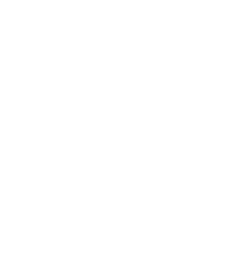 The American Board of Plastic Surgery